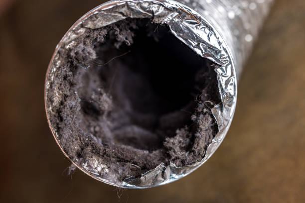 Best Air Duct Mold Removal  in Rion Center, MA