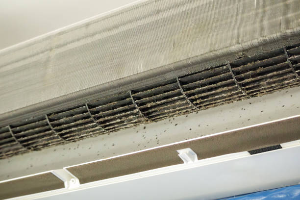 Best Local Air Duct Cleaning Services  in Rion Center, MA